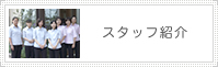 スタッフ紹介