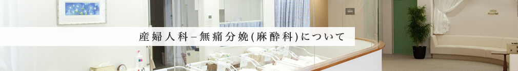 産婦人科ー無痛分娩(麻酔科)について