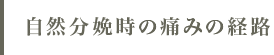 自然分娩時の痛みの経路
